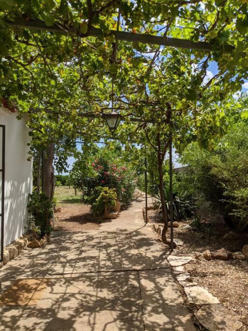 Casa Rural Frente Al Mar La Toscana Les Cases d'Alcanar Exteriér fotografie